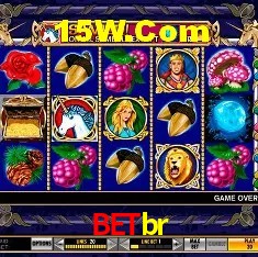 Recursos de Bônus Betbr